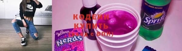 дживик Верхний Тагил