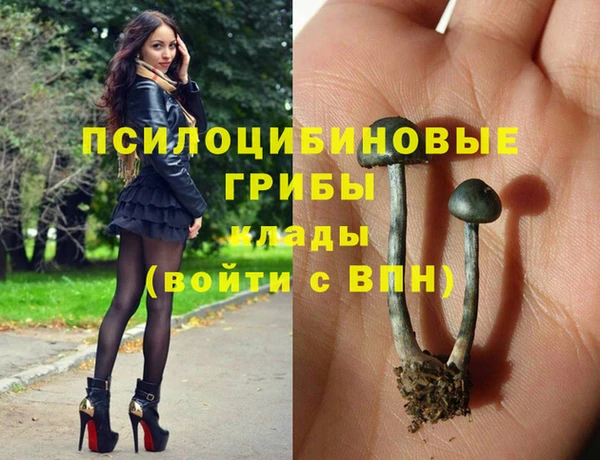 гидра Сатка