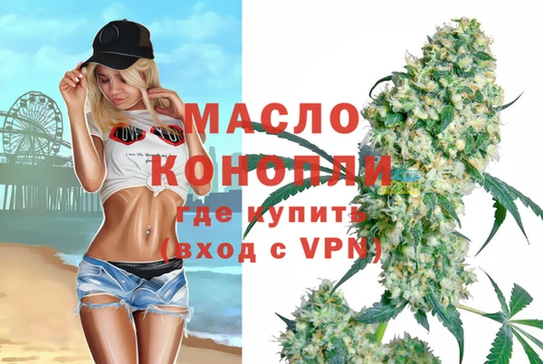 дживик Верхний Тагил